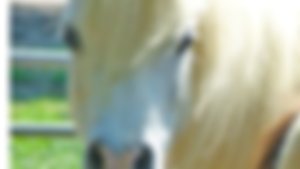 image not found