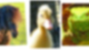 image not found